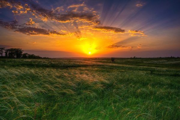 Закат в степи