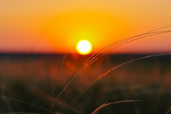 Калмыкия степь рассвет