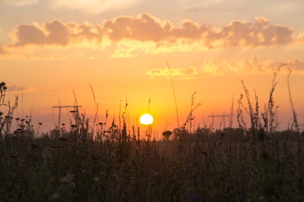 Закат в поле