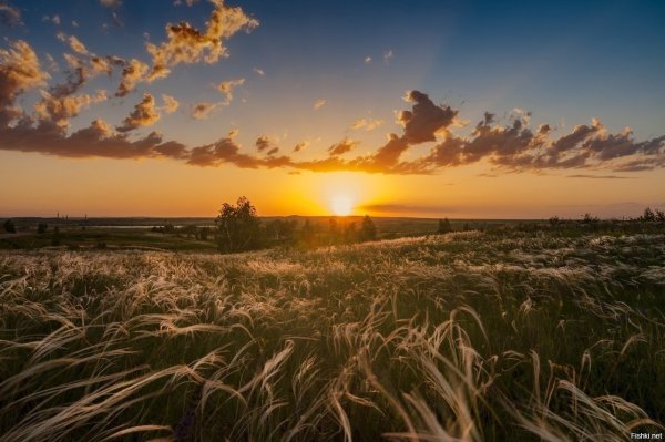 Закат на равнине