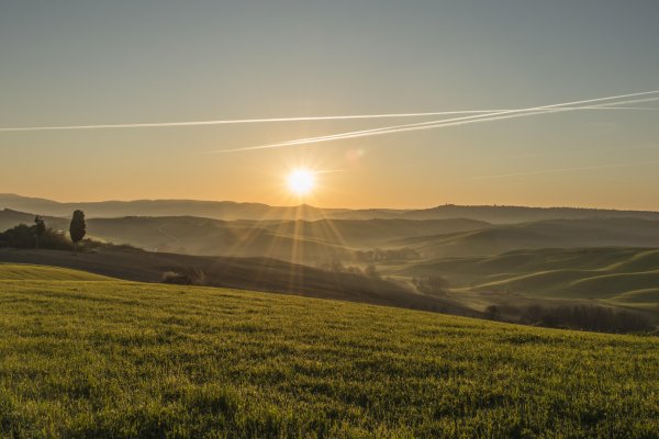 Красивое поле