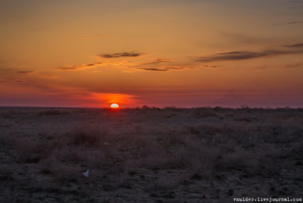 Степь вечером