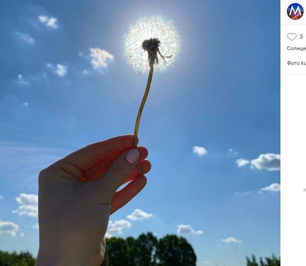 Жара картинки