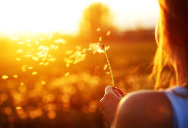 Солнце проснулось