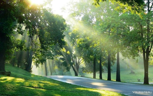 Лето в городе