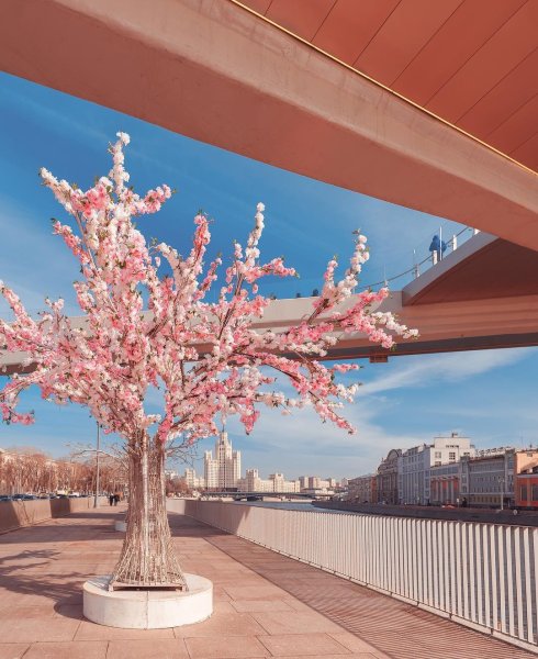 Природа дорога