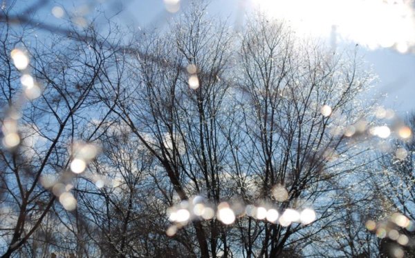 Солнечный весенний денек