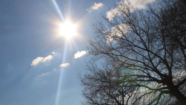 Потепление зимой