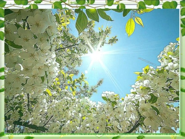 Весеннее солнце