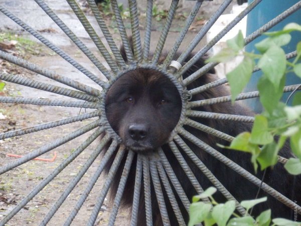 Счастье солнце