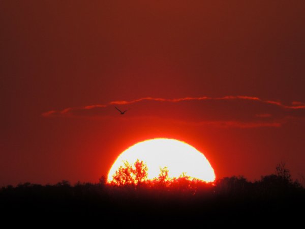 Солнце садится