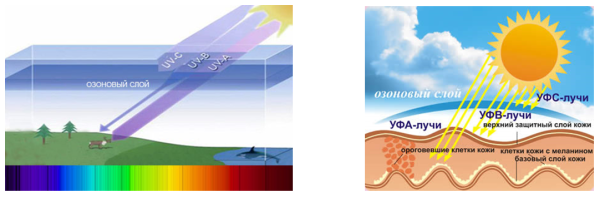 Солнце настоящее