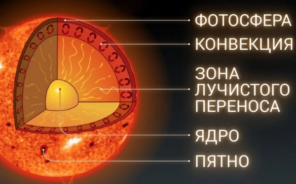 Строение солнца внутреннее и внешнее строение