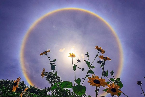 Атмосферное явление гало