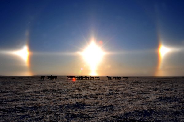 Гало эффект солнце