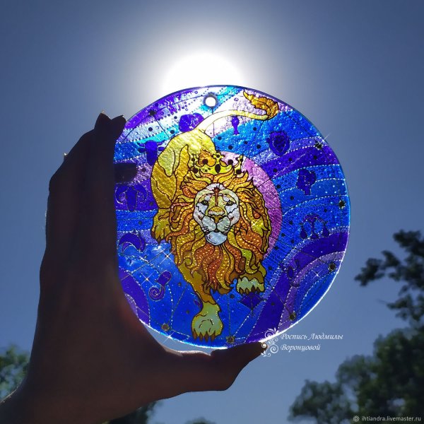 Ловец солнца