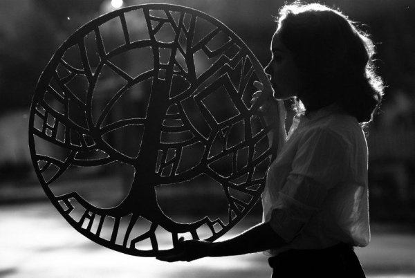 Ловец солнца