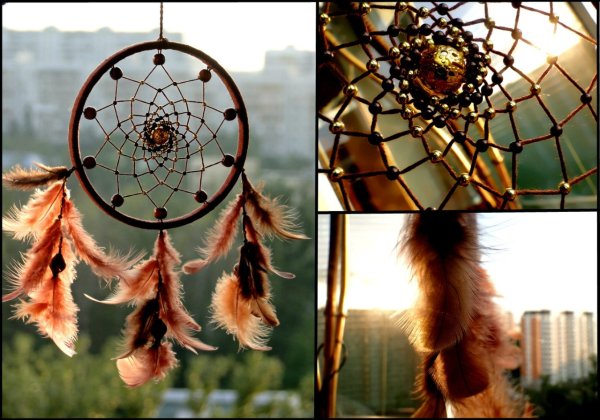 Ловец снов Гарри Поттер