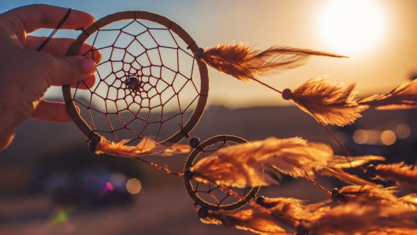 Шаман Эстетика