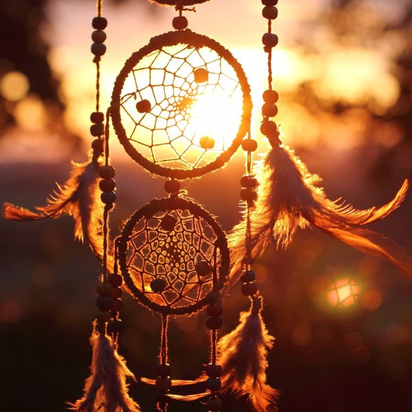 Солнечный лимон