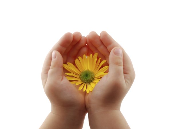 Цветы в детских руках