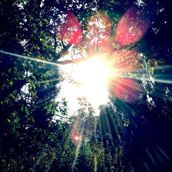 Солнце счастье радость