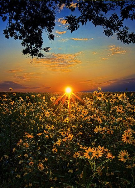 Лучи солнца на озере