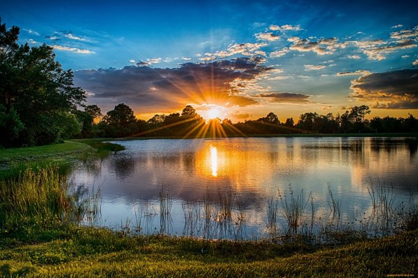 Солнце рассвет