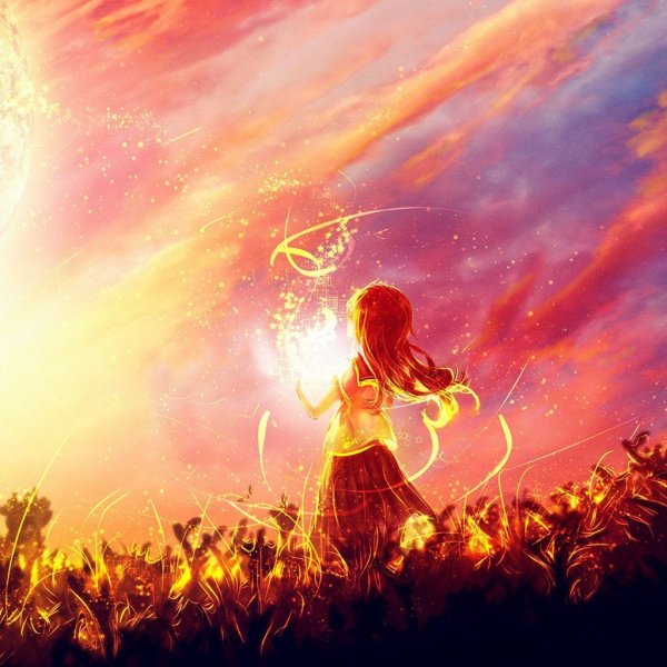 Кошка на рассвете