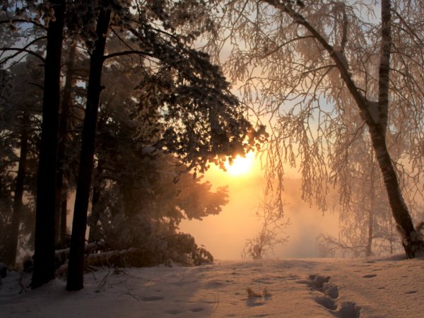 Морозное солнечное утро