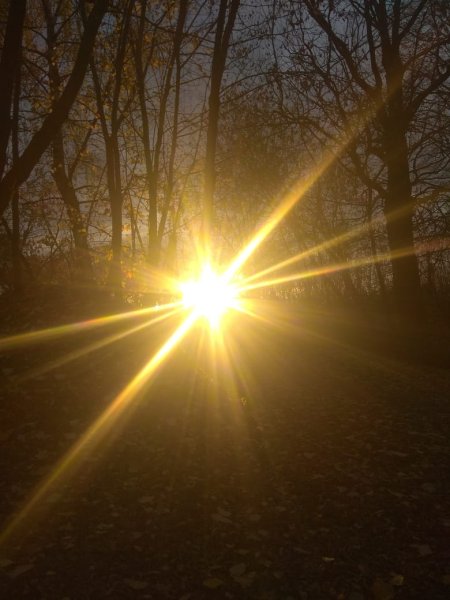 Солнечные лучики