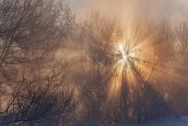Луч солнца зима