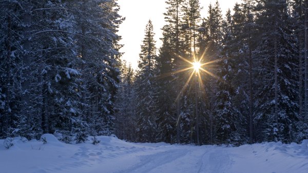 Весна снег и солнце костер