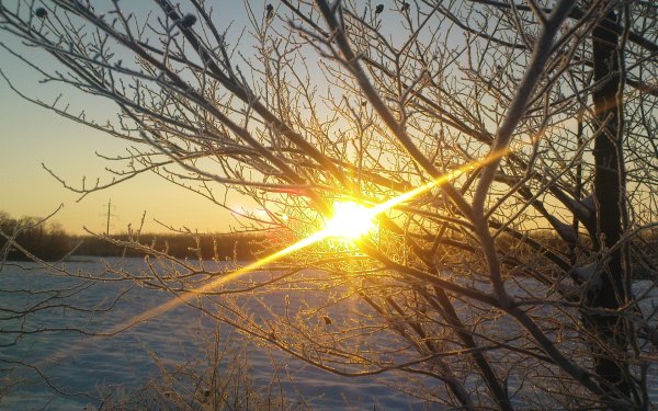 Солнечный зимний день