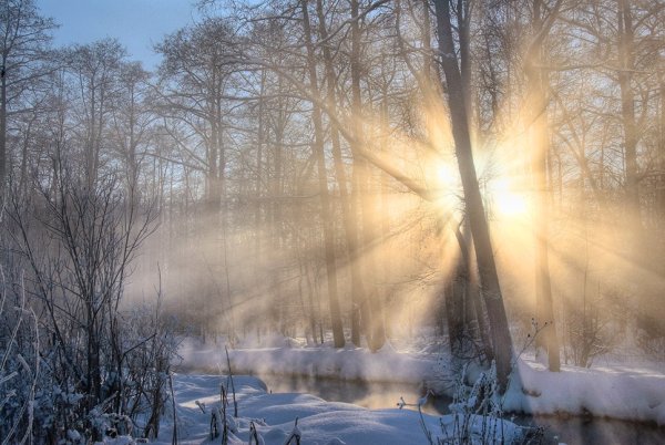 Солнце зимой