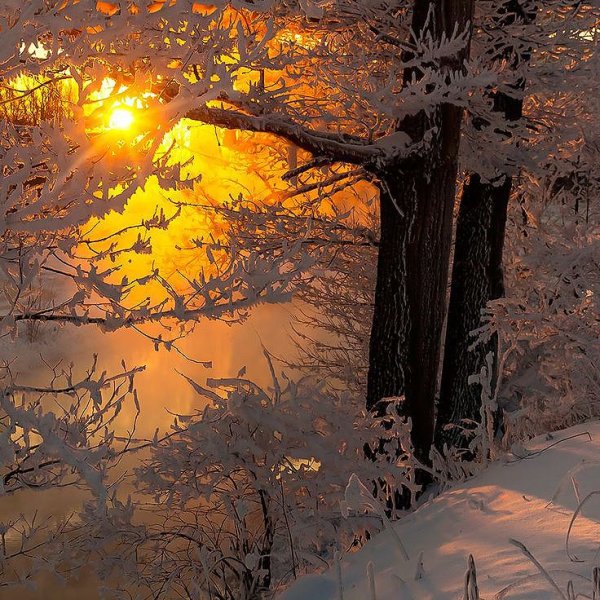 Весна солнце