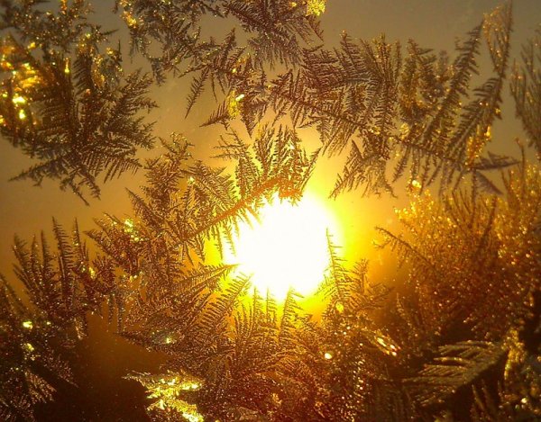 Утренняя Заря зимой