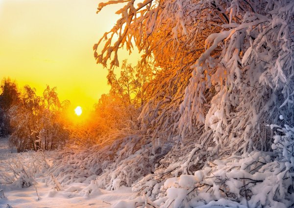 Зимнее солнце в деревне