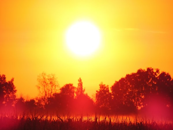 Солнце взойдёт