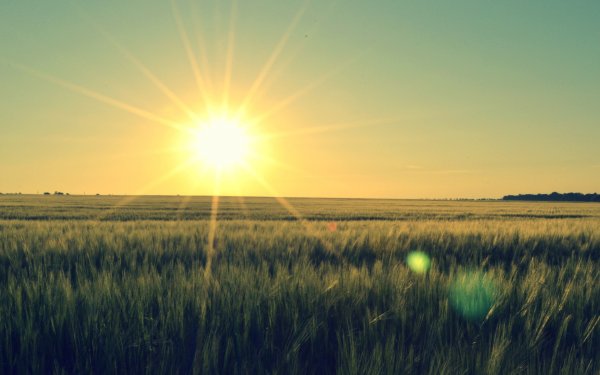 Солнце рассвет