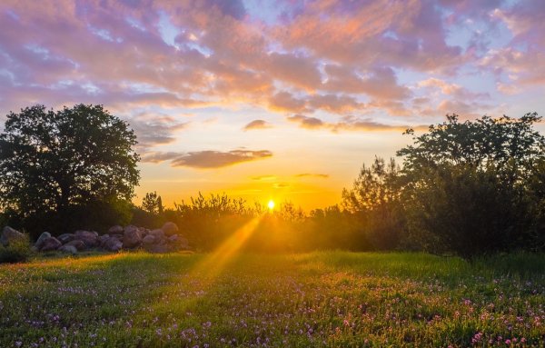 Природа солнце