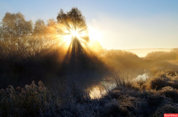 Утреннее солнце