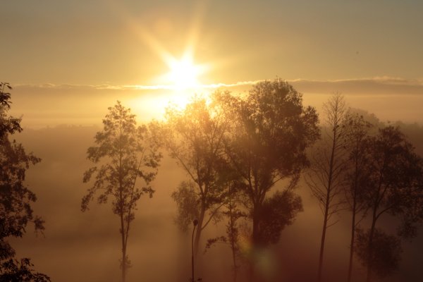 Солнце в тумане