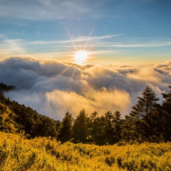 Солнечное небо