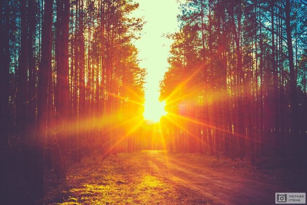 Яркое солнце