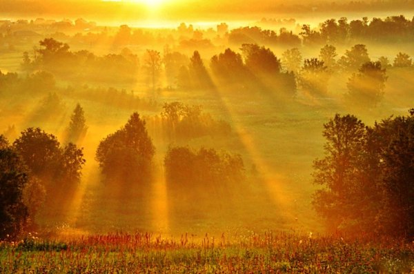 Дымка рассвет