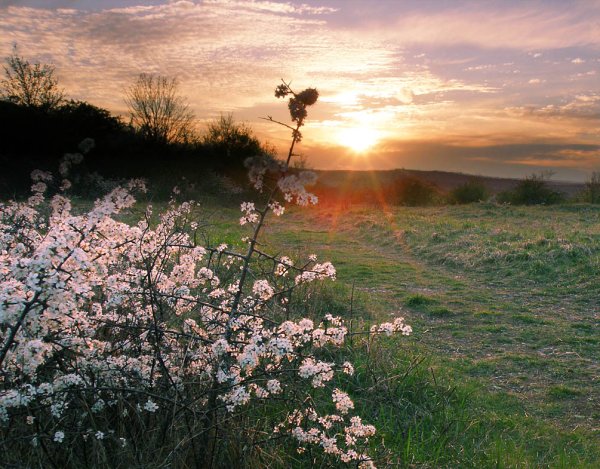 Весенний рассвет