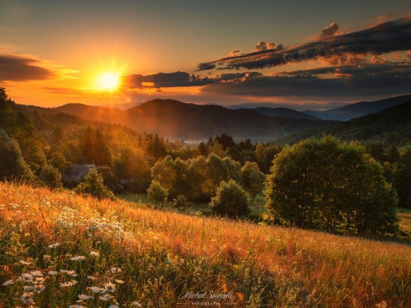 Луг на закате