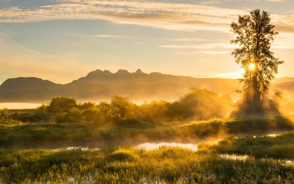 Рассвет фото