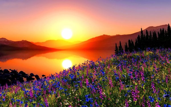 Солнце пейзаж